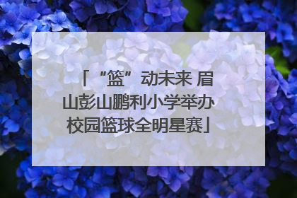 “篮”动未来 眉山彭山鹏利小学举办校园篮球全明星赛